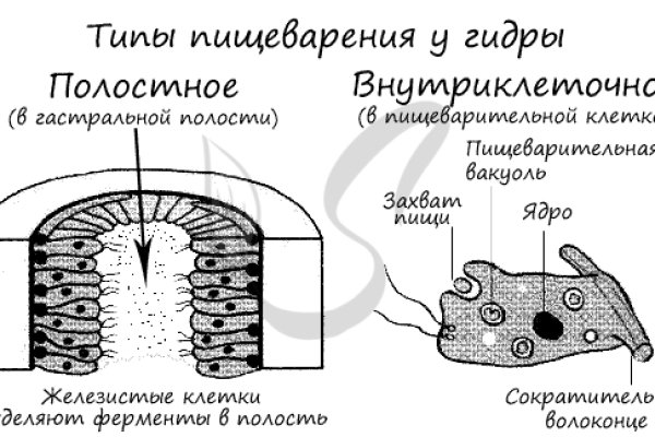 Регистрация на кракен